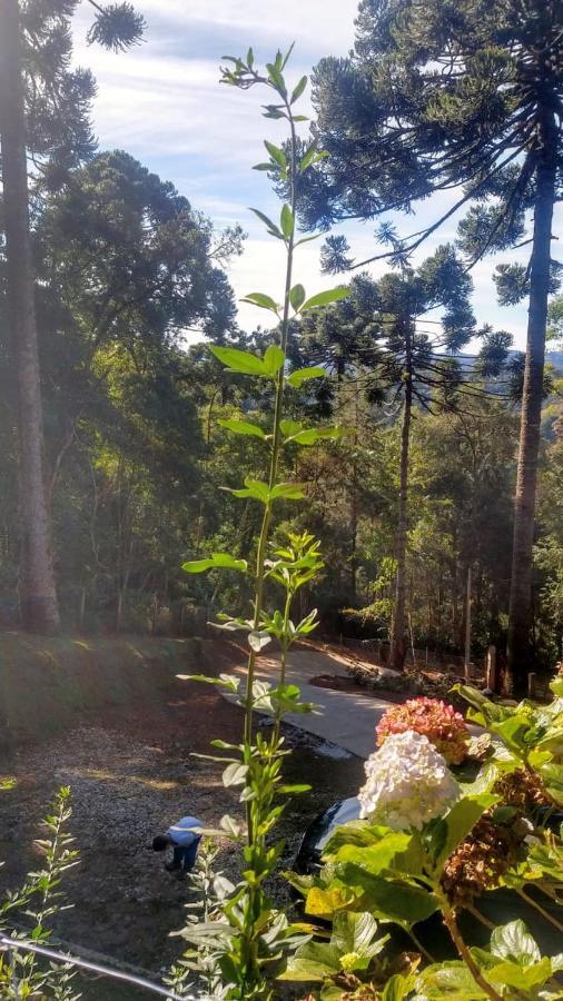 Chalet Chale Rustico Na Montanha Em Campos De Jordao *