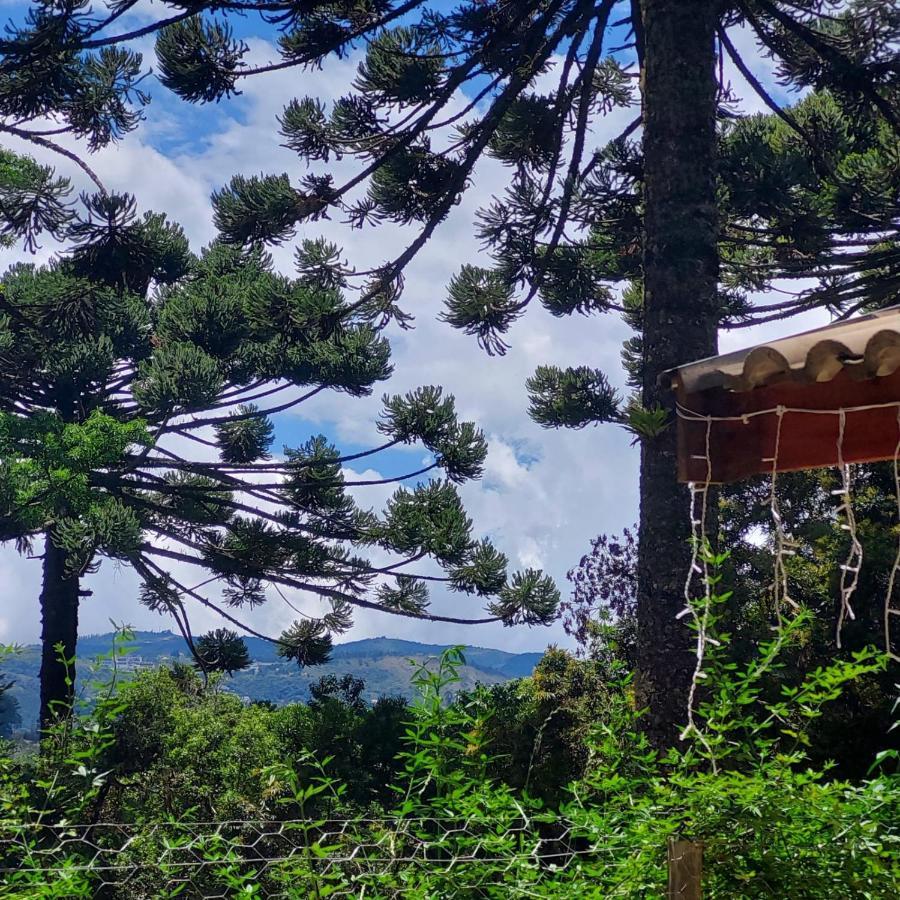 Chale Rustico Na Montanha Em Campos De Jordao Campos do Jordao