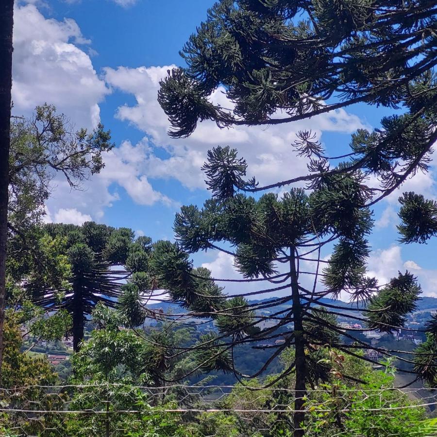Chale Rustico Na Montanha Em Campos De Jordao Chalet