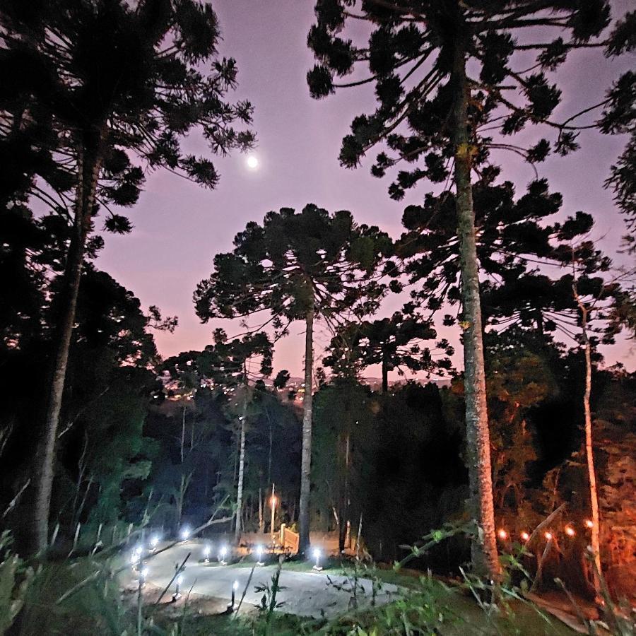 Chale Rustico Na Montanha Em Campos De Jordao * Campos do Jordao