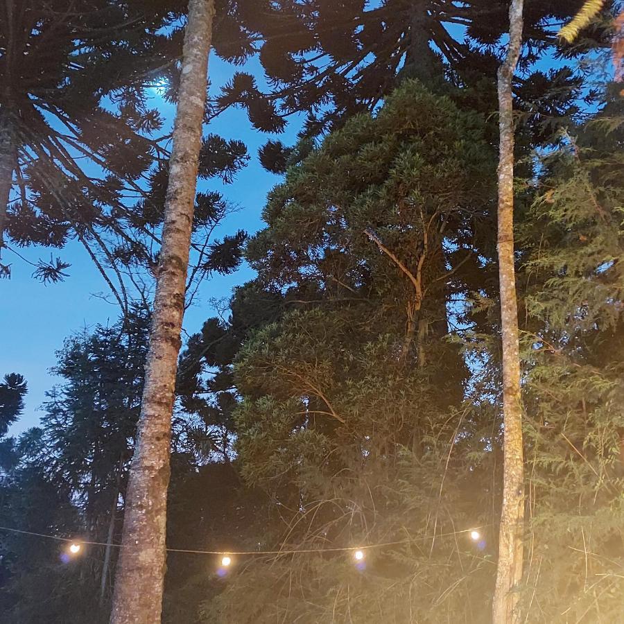 Chale Rustico Na Montanha Em Campos De Jordao *